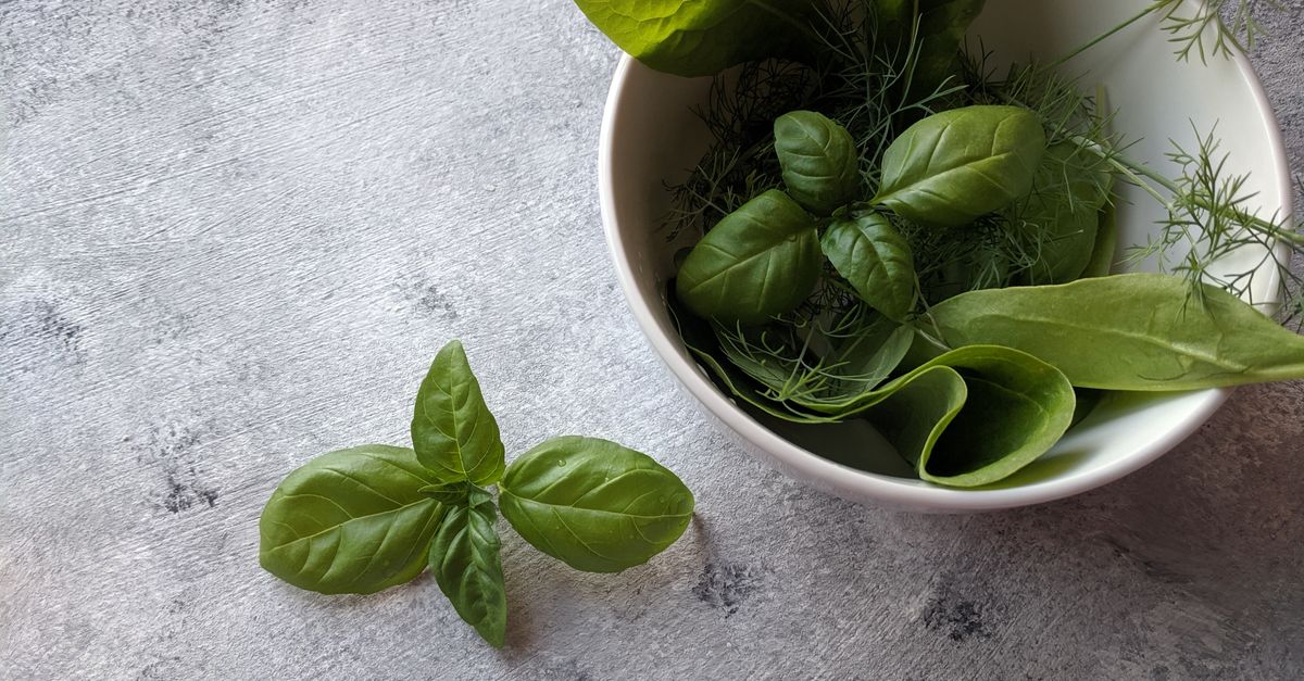 découvrez le basil smash, un cocktail rafraîchissant à base de basilic frais, citron et gin, parfait pour vos soirées estivales.