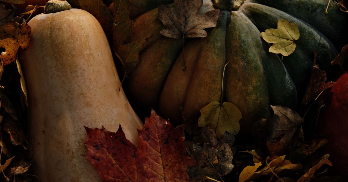 apprenez comment peler facilement une courge butternut grâce à nos conseils simples et efficaces pour une préparation rapide en cuisine.