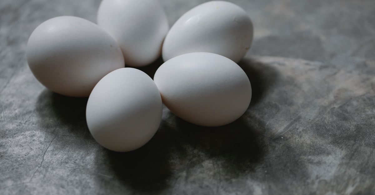 découvrez tout sur les œufs : bienfaits nutritionnels, recettes variées et conseils de conservation pour profiter pleinement de cet aliment essentiel.