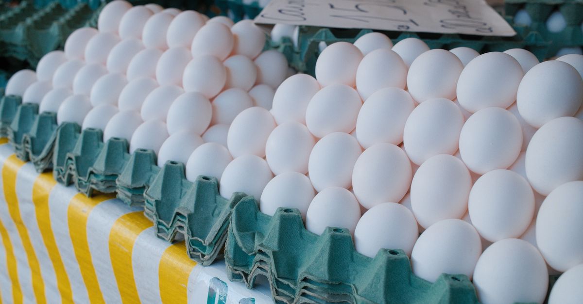 découvrez tout sur les œufs : bienfaits, recettes, conseils de cuisson et astuces pour choisir les meilleurs œufs frais.