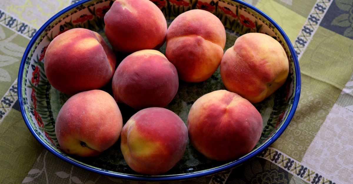 découvrez notre délicieuse confiture de pêche, élaborée avec des fruits frais pour une saveur authentique et sucrée. parfaite pour vos petits-déjeuners et goûters.
