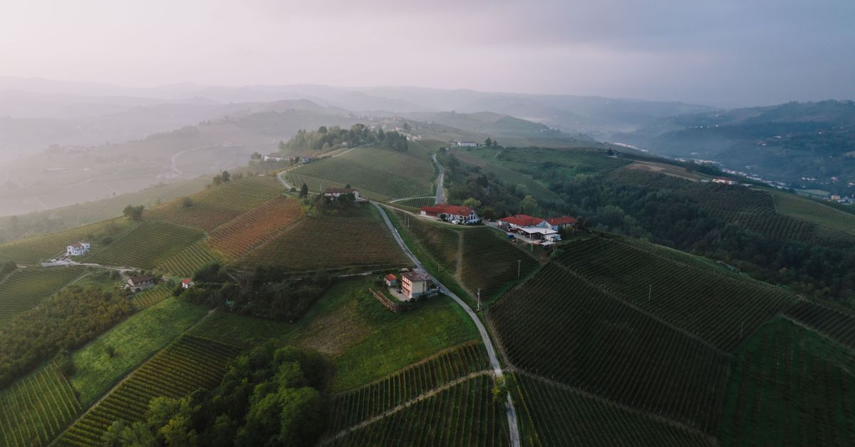 découvrez les vins du piémont, une région italienne renommée pour ses cépages prestigieux et ses saveurs uniques.