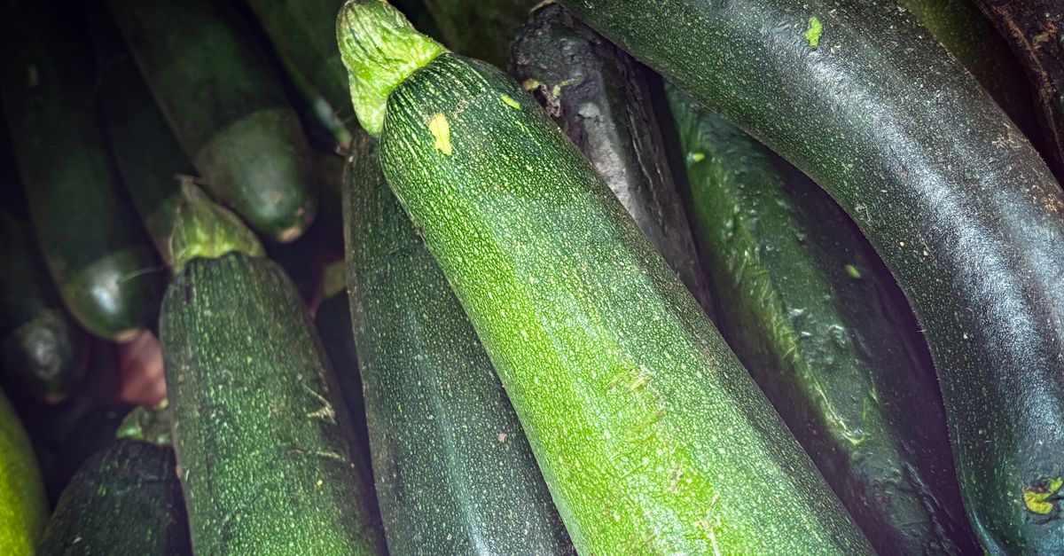 découvrez une recette savoureuse de courgettes farcies au fromage de chèvre, parfaite pour un repas léger et gourmand.