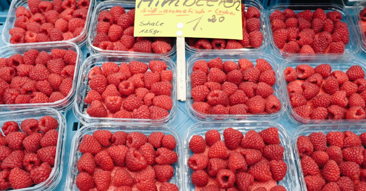 découvrez notre recette de framboisier bavarois, un dessert léger et gourmand alliant la douceur de la bavaroise et le goût intense des framboises fraîches.