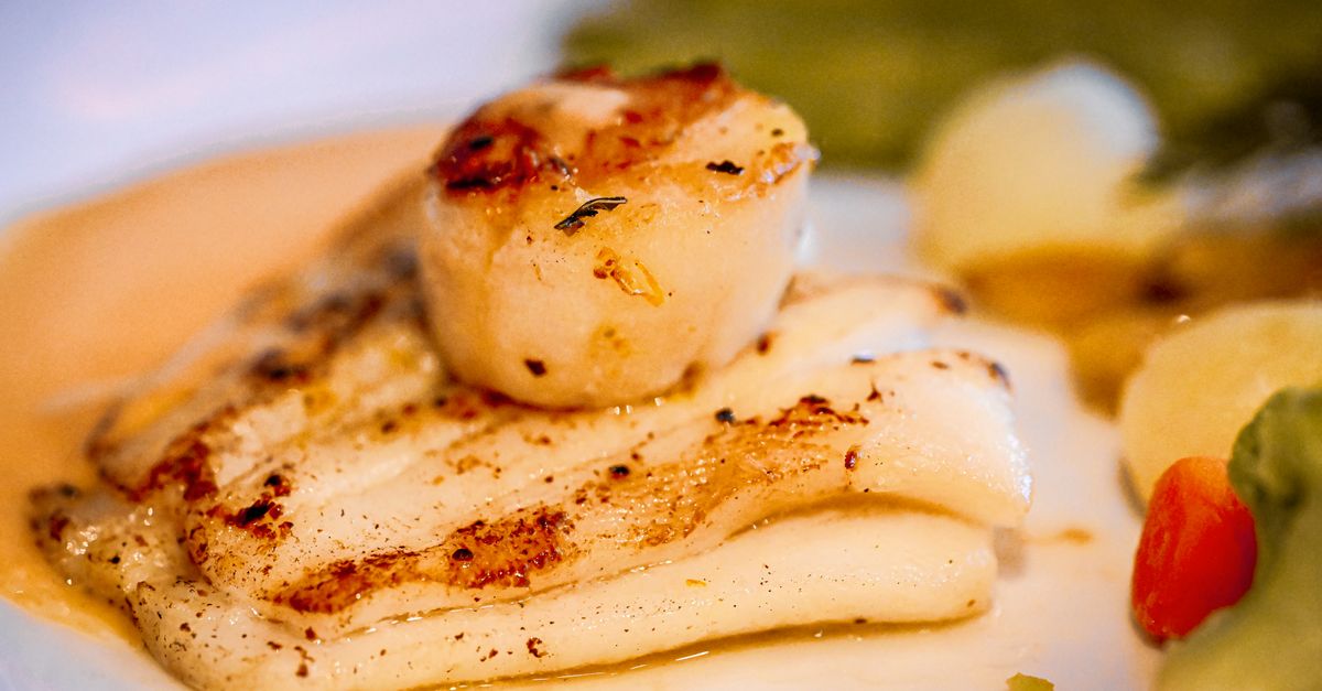 découvrez tout sur les coquilles saint-jacques : recettes, bienfaits nutritionnels et conseils de préparation pour savourer ce délicieux fruit de mer.