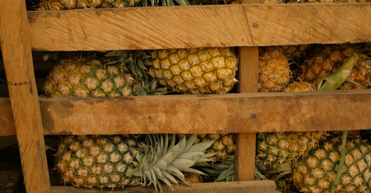découvrez comment préparer un rhum infusé à l'ananas fait maison, une recette simple et savoureuse pour un cocktail tropical authentique.